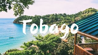 TOBAGO  TOP 10 THINGS to See amp Do  Travel Guide [upl. by Wolsniw]