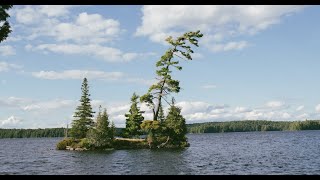 Algonquin 2024  McIntosh Lake Loop [upl. by Hessney]