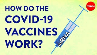 How the COVID19 vaccines were created so quickly  Kaitlyn Sadtler and Elizabeth Wayne [upl. by Lashonda]