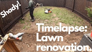 Timelapse lawn renovation in a shady spot [upl. by Nadia]