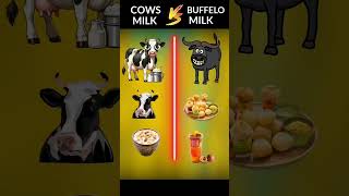 Cows milk vs buffalo milk 🥛trendingautomobileshortsviral [upl. by Adnauqahs]