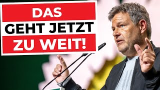 HEIMLICHE ENTEIGNUNG von FAMILIENUNTERNEHMEN  neuer ANTRAG auf dem PARTEITAG der GRÜNEN [upl. by Shiller]