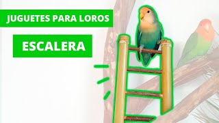 JUGUETES para AGAPORNIS 🐣 55 ► ESCALERA paso a paso 🤗 [upl. by Lars]