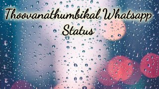 Thoovanathumbikal Whatsapp Status Rain  Johnson Master  Piano Cover Rajesh V  Mohanlal [upl. by Isus627]