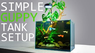 How to Setup a Simple Guppy Fish Tank TUTORIAL [upl. by Raimundo]