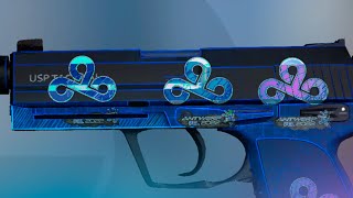 USPS  Blueprint Sticker Combinations  CSGO [upl. by Ripleigh521]