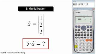 Multiplikation eines Vektors mit einem Skalar mit Taschenrechner [upl. by Melburn]