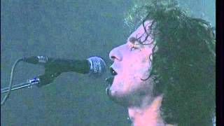 Andrés Calamaro  Vigilante medio argentino Made in Argentina Directo 2005 [upl. by Nehgem827]