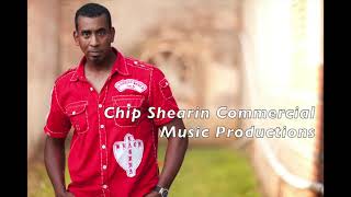 Chip Shearin Music Productions  Film Score reel [upl. by Nitnelav]