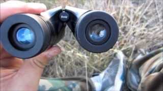 Bushnell Perma Focus Binocular Review by MUDD CREEK [upl. by Elle]