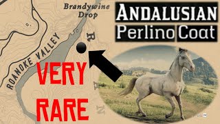 HOW TO FIND THE PERLINO COAT ANDALUSIAN IN RED DEAD REDEMPTION 2 [upl. by Wills]