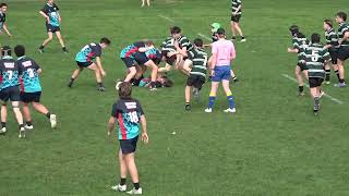 Darfield v Verdon SISS Rural Livestock 2024 [upl. by Hanoy991]