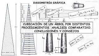 CUBICACIÓN DE UN ÁRBOL POR CINCO FÓRMULAS DIFERENTES COMPARATIVA [upl. by Whitnell920]