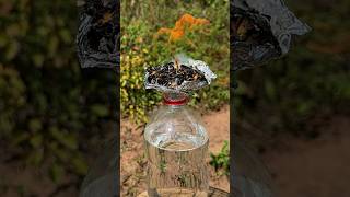 Amazing Lifehack Smoked Olive Oil in the Wild survival skills lifehacks [upl. by Quenby]