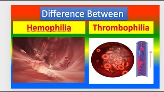 Difference between Hemophilia and Thrombophilia [upl. by Etnom959]