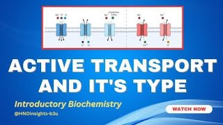 Active transport and its typeprimary active transportsecondary active transport [upl. by Kehoe908]