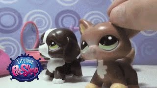 Littlest Pet Shop  Sir Napoleon amp the Elixir of Life Part 4 by LPSLover [upl. by Wie918]