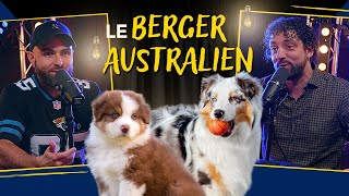 Le BERGER AUSTRALIEN [upl. by Nnahgiel720]