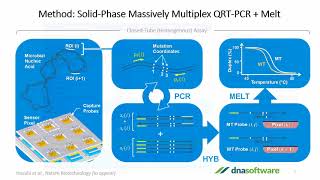 Multiplex PCR Assay Design Made Easy [upl. by Gadmon]