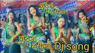 Laila pudina viral DJ song pudina LeDJ Satyam remix [upl. by Etnasa376]