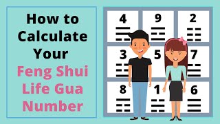 How to Calculate Your Feng Shui Life Gua Number  Feng Shui Basics for Beginners Guide fengshui [upl. by Sabra167]