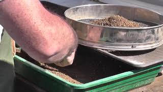 Easy Soil Sifting Trick  The Bonsai delsbonsais [upl. by Rafaello]