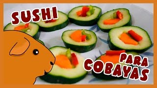 🍣 COBIRECETA SUSHI para COBAYAS 🐹 COBISUSHI [upl. by Terrie]