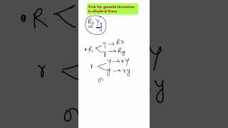 ShorttrickGamete formation in dihybrid crossheterozygous plantNeetncertbiology [upl. by Jemmie]