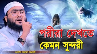 পরীরা দেখতে কেমন সুন্দরী শুয়াইব আহমদ আশ্রাফী  Qari Shuaib Ahmed Ashrafi  New Bangla Waz 2024 [upl. by Ajdan843]