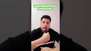 AGRICULTURA EN PIURA SIN AGUA [upl. by Eedrahc]