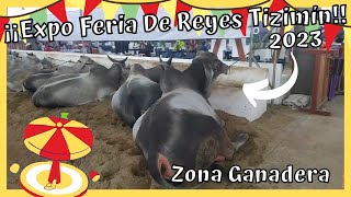 Zona Ganadera 🐂 Expo Feria de Reyes Tizimín 2023 🎡 [upl. by Oatis117]