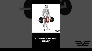 Trap Bar Deadlift trapbardeadlift deadlift deadlifts trapbardeadlifts [upl. by Jaynes220]