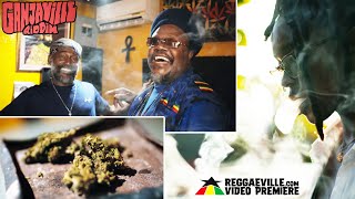 Luciano amp Lutan Fyah  Settle Down Ganjaville Riddim  Official Video 2022 [upl. by Keppel]