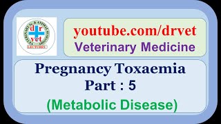 Pregnancy Toxaemia Part 5 [upl. by Nairolf221]