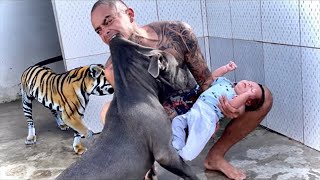 20 Parents Who Saved Their Children From Aggressive Animals [upl. by Ak646]