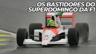 OS BASTIDORES DO DOMINGO DA F1 EM INTERLAGOS [upl. by Alracal]