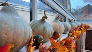 What’s in store  let’s take a tour of my allotments fruit and veg store [upl. by Haughay]