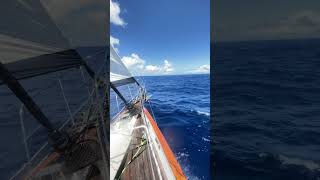 Day Vi oahu alaska sailboat hawaian boat sailinglife ocean sailing hawaii [upl. by Boni]