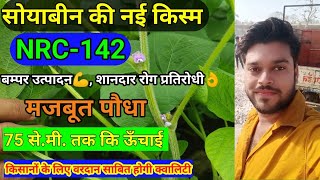 सोयाबीन की नई किस्म NRC142  किसानों के लिए वरदान साबित होगी बम्पर उत्पादन वाली यह सोयाबीन की किस्म [upl. by Branden629]