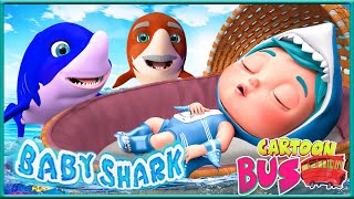 Splashy Sharky Song babyshark  Nursery Rhymes amp Kids Songs BY Bus Cartoon [upl. by Yvel]