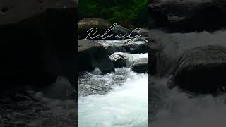 quotFeel Calm in 60 Seconds  River Sound Therapyquot asmr [upl. by Newo316]