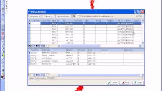 netcad netkamu 55 parsel editörü otomatik alan hesabı [upl. by Selmore]