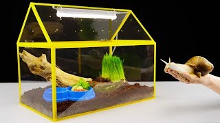 DIY Unusual Home for a Giant Snail [upl. by Snell545]