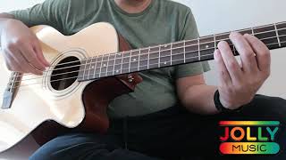 Deviser MBS50 Full Scale Acoustic Bass w Pickup [upl. by Enawd]