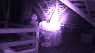 McConaghy House  Hayward CA Attic Pt1 [upl. by Acinorej]