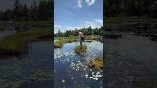 The Floor Is Lava Challenge On A Floating Bog shorts [upl. by Katrina246]