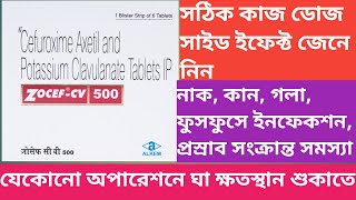 Zocef Cv 500 Tablet  Zocef Cv 500  Use  Dose  Review  Side effects In Bengali [upl. by Chappell]