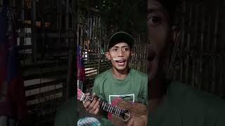 viral ukulelemusic fyp shorts [upl. by Aihsenat]