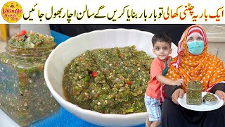 Tamatar Payaz Pudina Chutney Recipe  Chutney Banane Ki Recipe  Tomato Chatni by Village Handi Roti [upl. by Towroy]