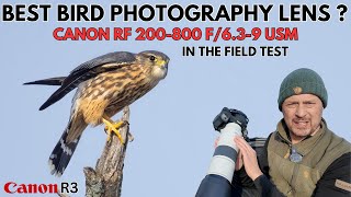 Best Bird Photography Lens  In the Field Review of the Canon RF 200800 f63f9 using the Canon R3 [upl. by Enilorak]